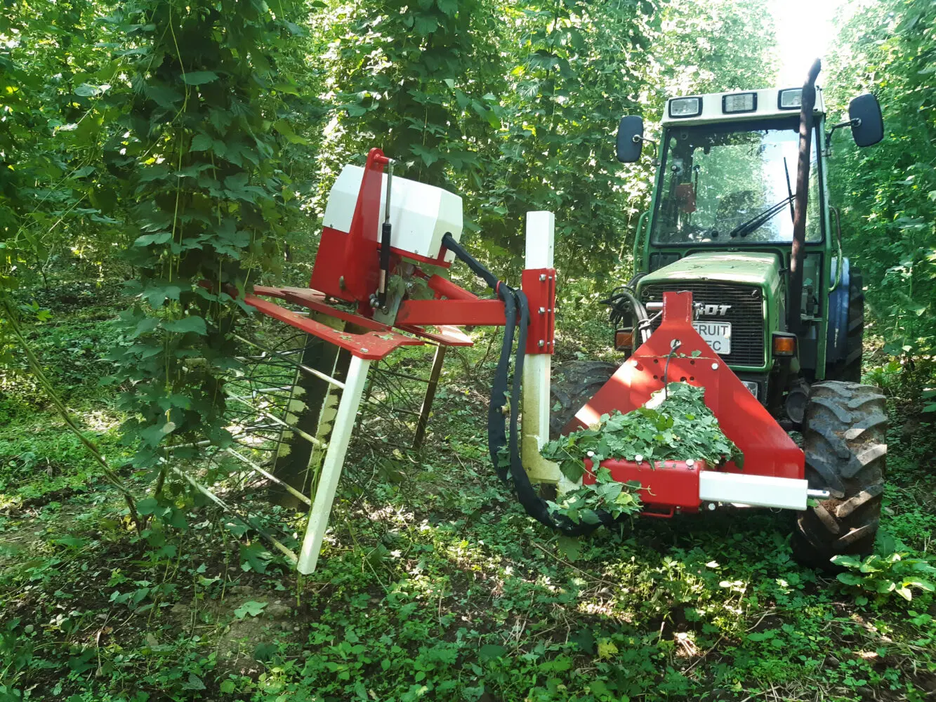 frontbild-Herkules-80-1